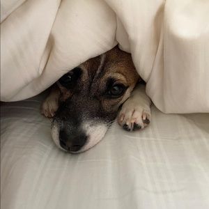 Meet your Posher, Ruby